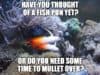 Have you thought of a fish pun yet, or do you need some time to mullet over?