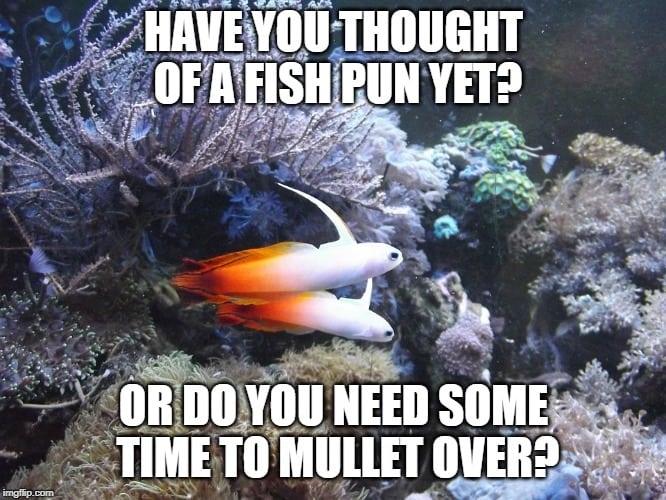 S Best Funny Fish Puns Memes And Fishing One Liners Nano Reef Adviser