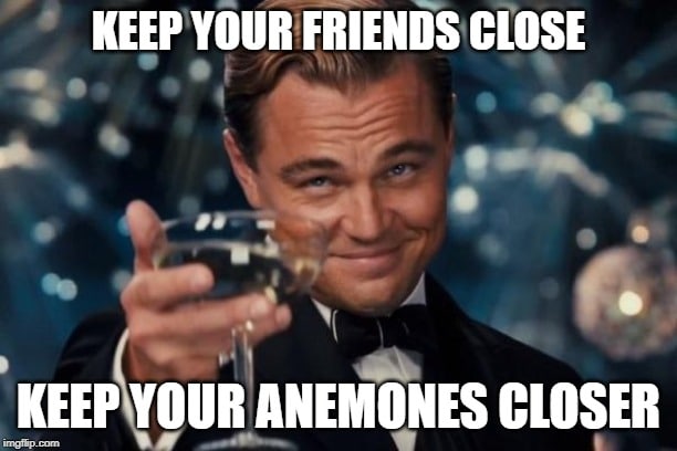 Fish Pun Meme Keep your friends close but keep your anemones closer