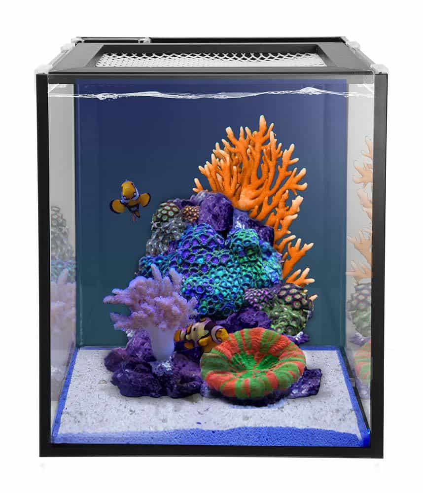 Gewoon In de naam Gloed 2022's best (low iron) rimless nano aquariums – Nano Reef Adviser