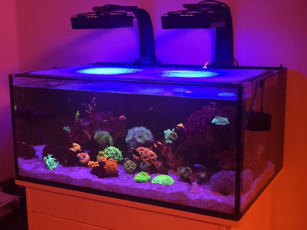 How to lower alkalinity in reef tanks – Nano Reef Adviser