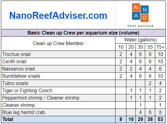 How much clean up crew for a reef tank