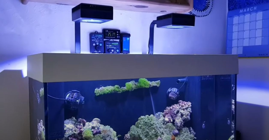 Best Reef Lighting RedSea
